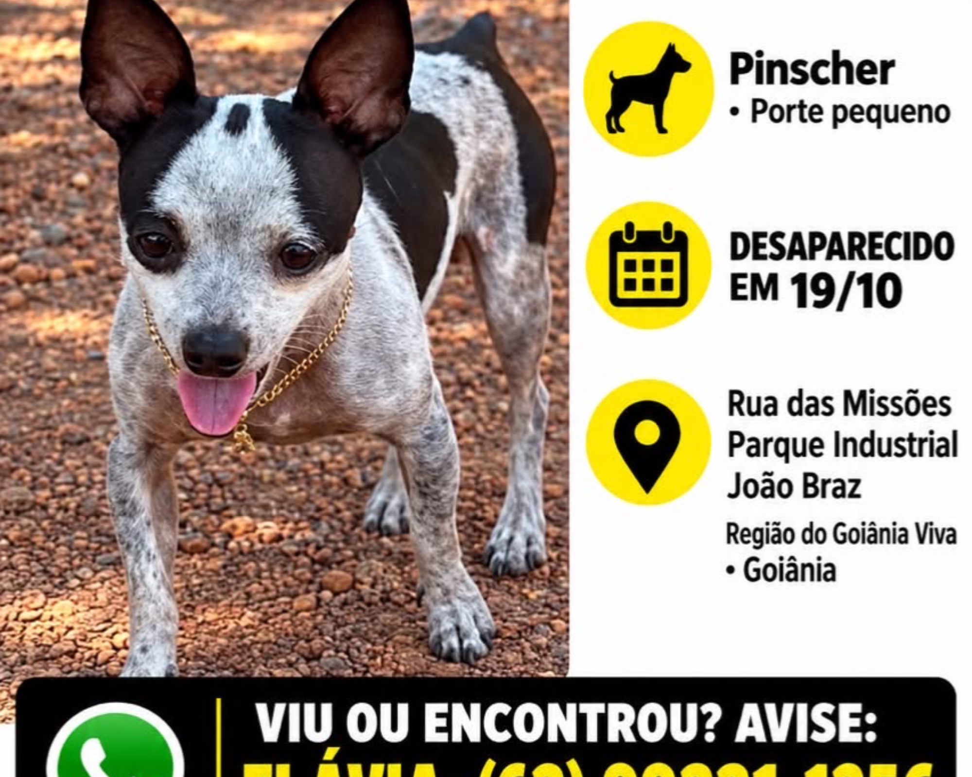 Foto de Tulli