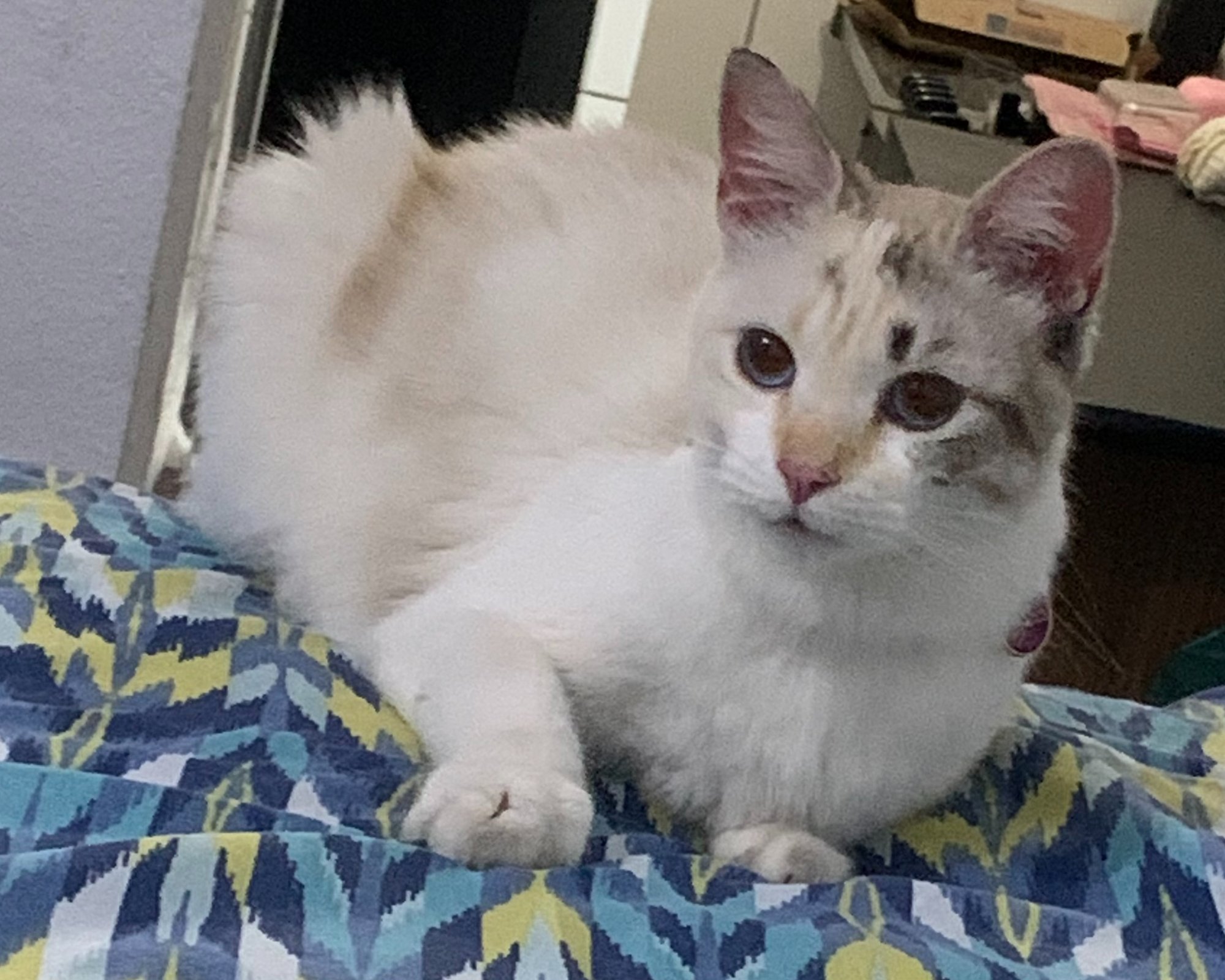 Foto de Princesa