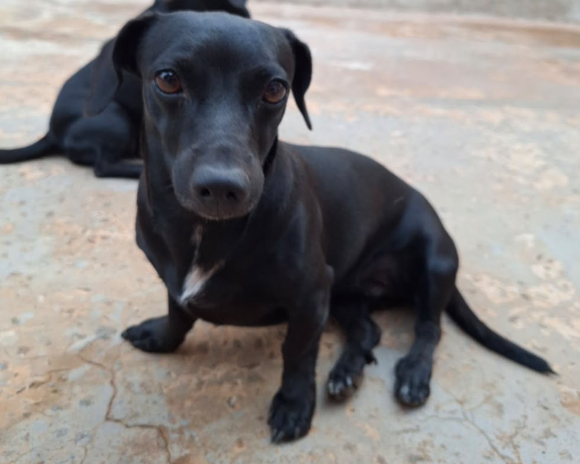 Foto de Mini
