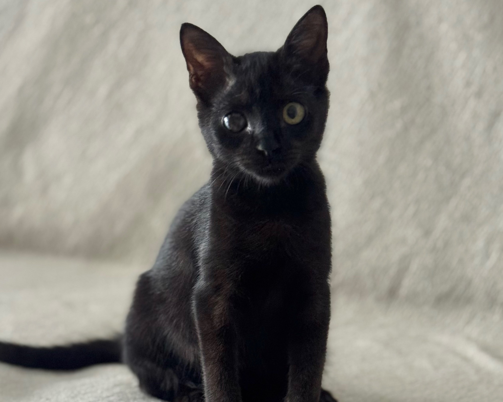 Foto de Bella