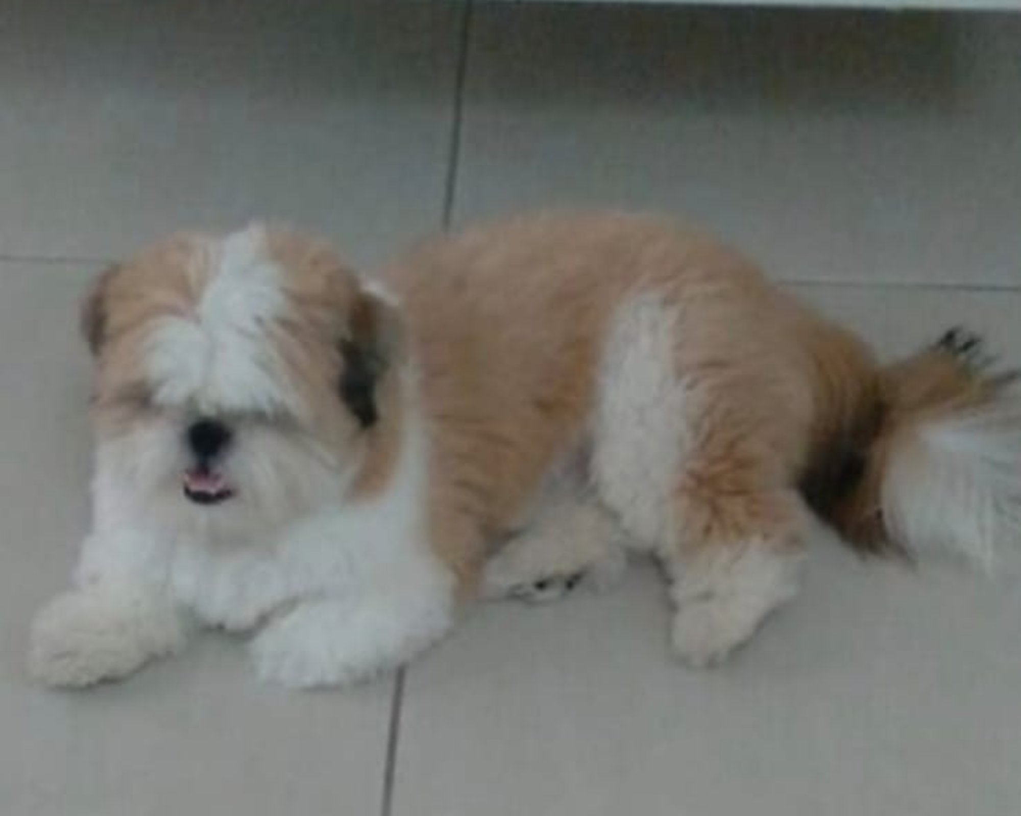Foto de Fred