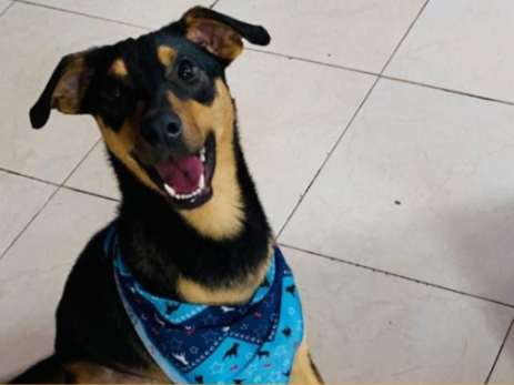 Foto de Chico