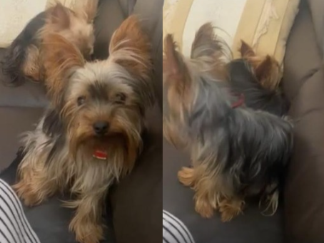 Foto de Princesa