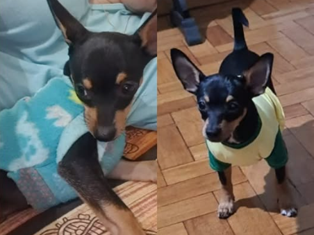 Foto de PAULINHO