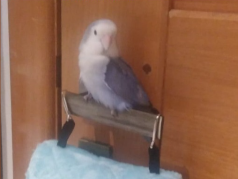 Foto de Olga