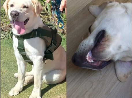 Foto de Chico