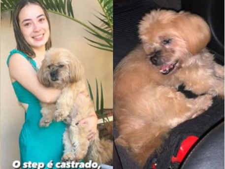 Foto de Step