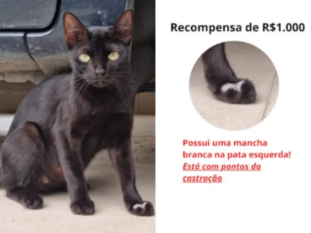 Foto de BATMAN