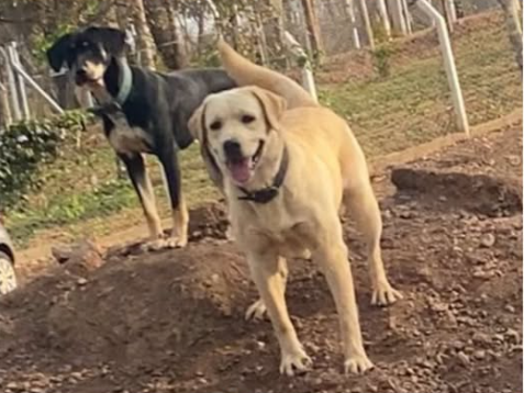 Foto de Fred e Sid