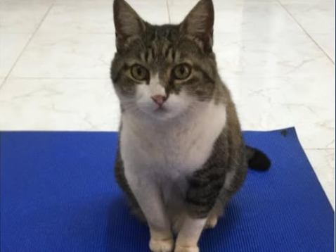 Foto de Mel