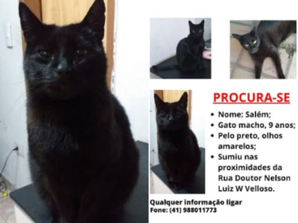 Foto de Salem