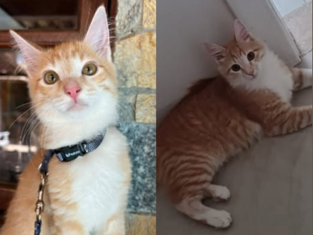 Foto de Chico