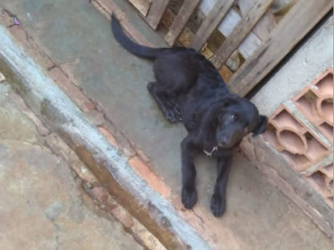 Foto de Murilo