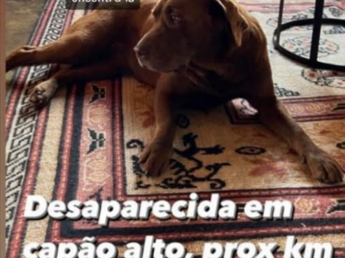 Foto de Vicky