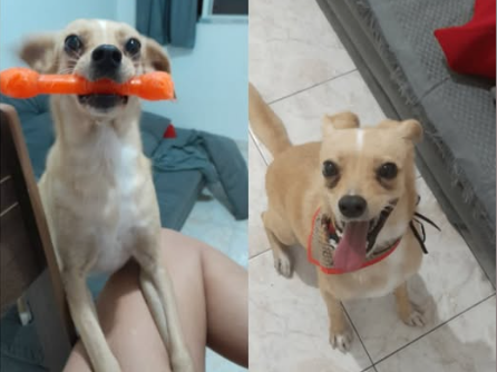 Foto de Pedrinho