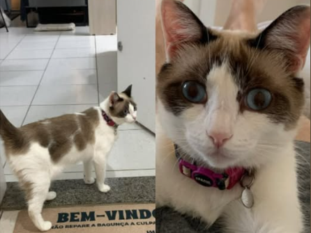 Foto de Mimi