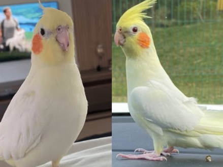Foto de Doris