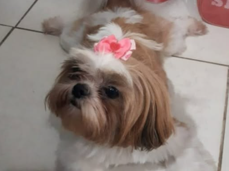 Foto de Milly