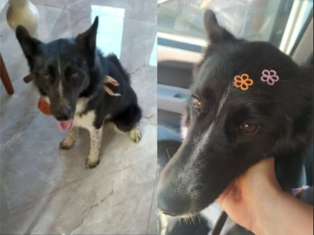Foto de Mei