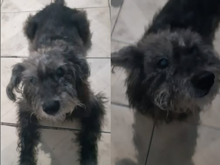 Foto de Zigui