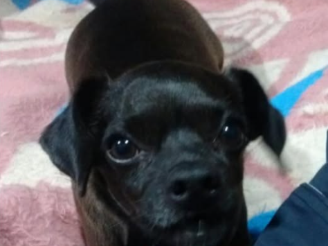Foto de DANTE
