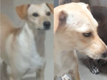 Foto de Brisa