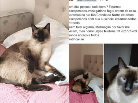 Foto de Zuma