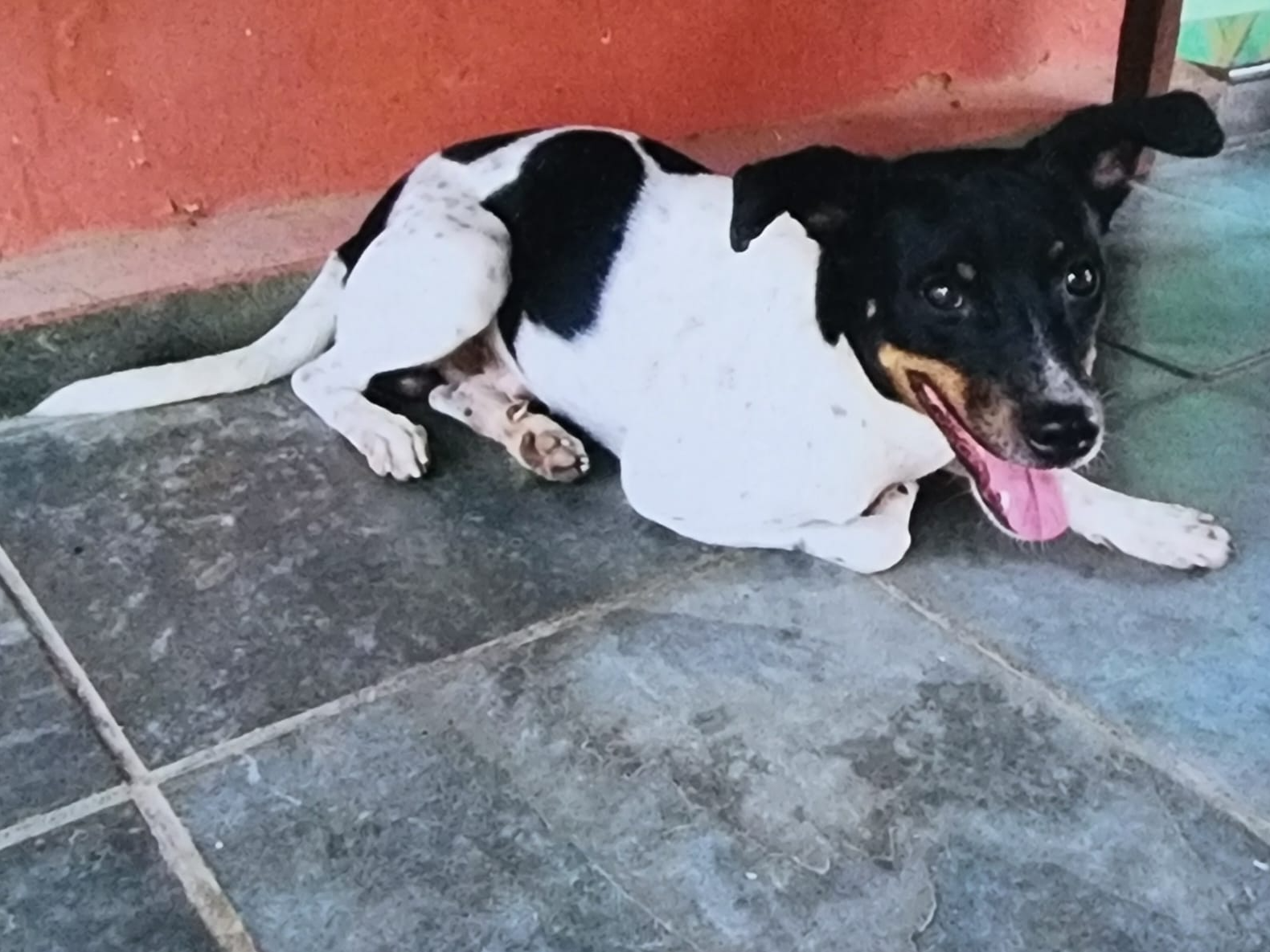 Foto de Thor