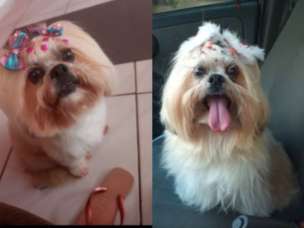 Foto de Ruby