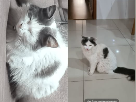 Foto de Mimi