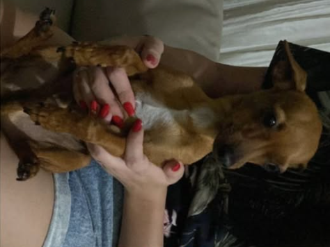 Foto de Fred