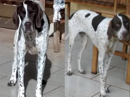 Foto de Java
