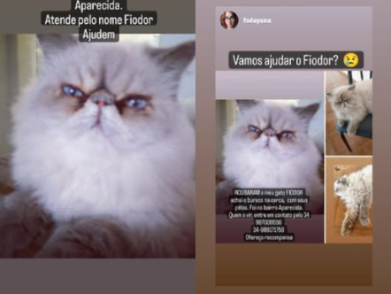 Foto de Fiodor