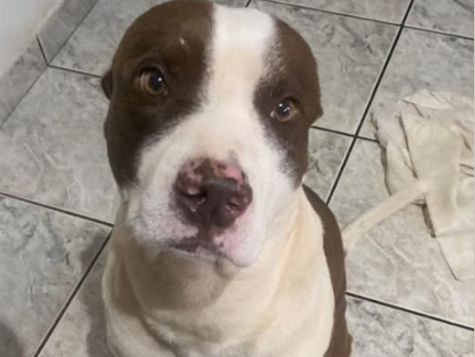 Foto de Zeus