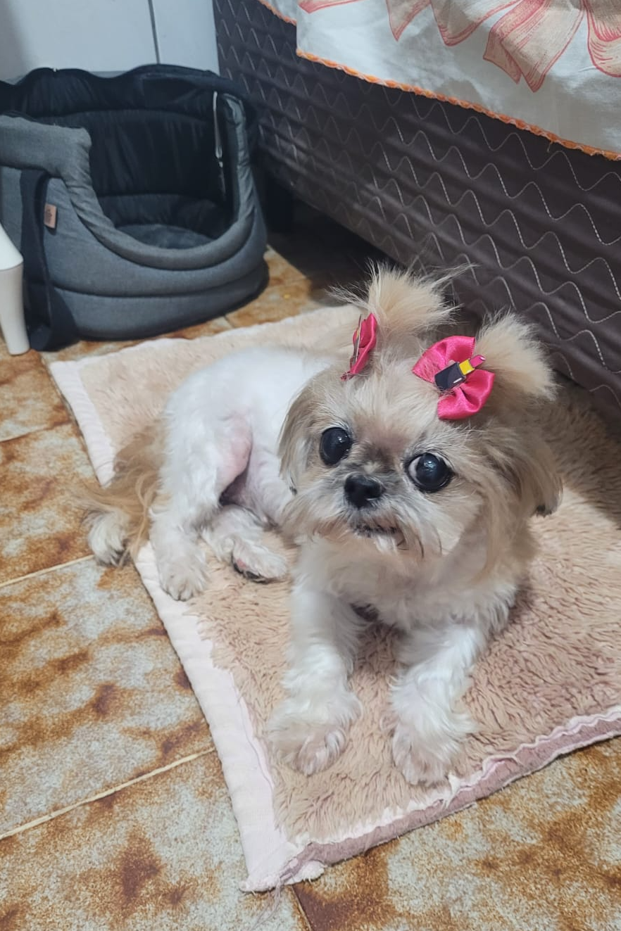 Foto de Mel