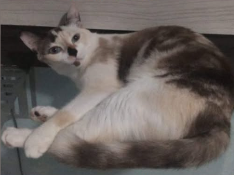 Foto de Eva