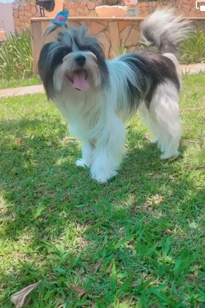 Foto de Menininha