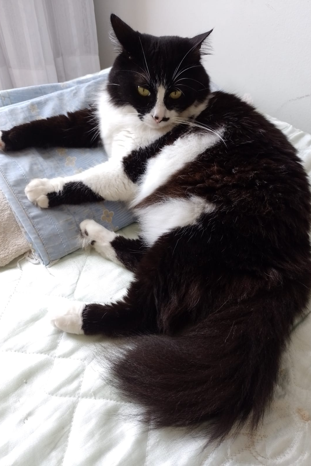 Foto de Mimi