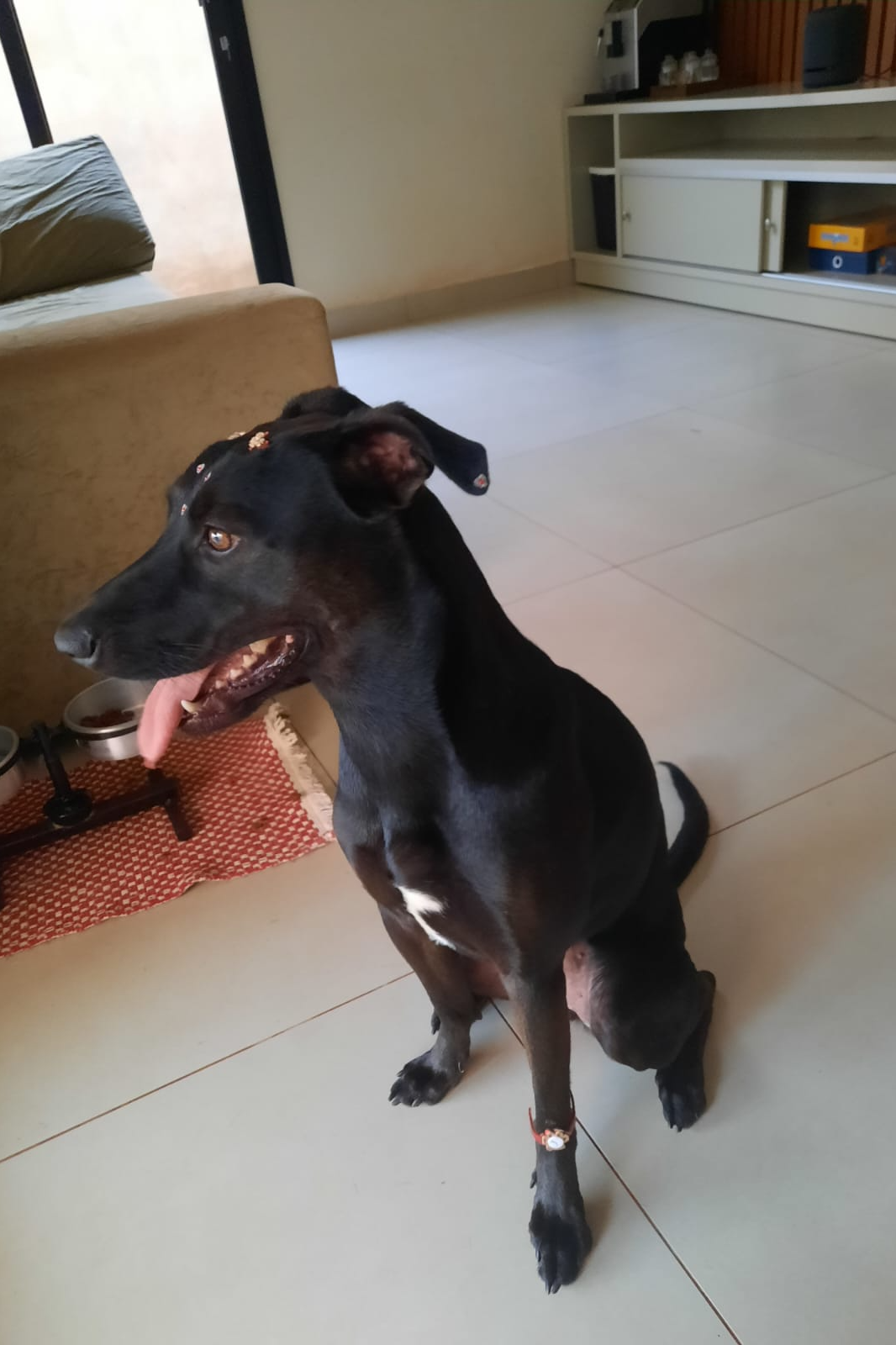 Foto de Margarida