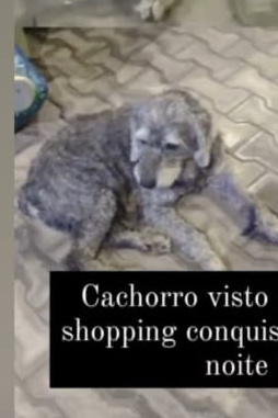 Foto de Fofo