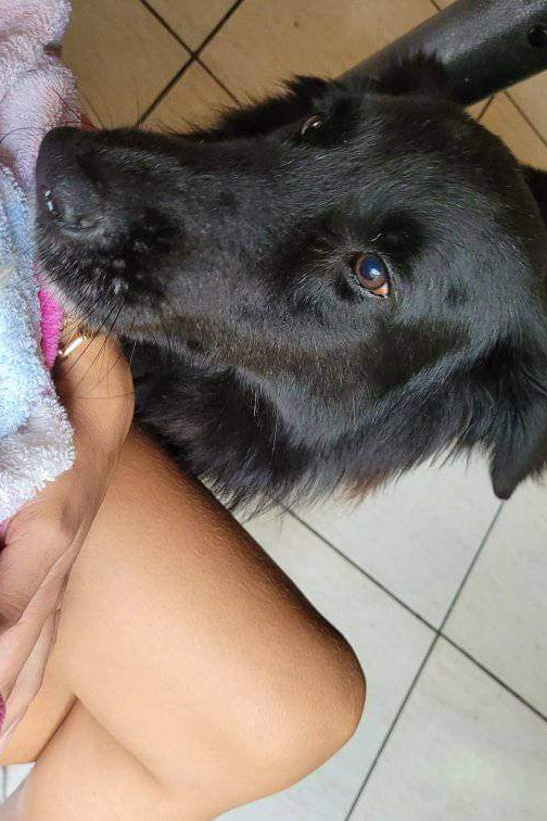 Foto de Black