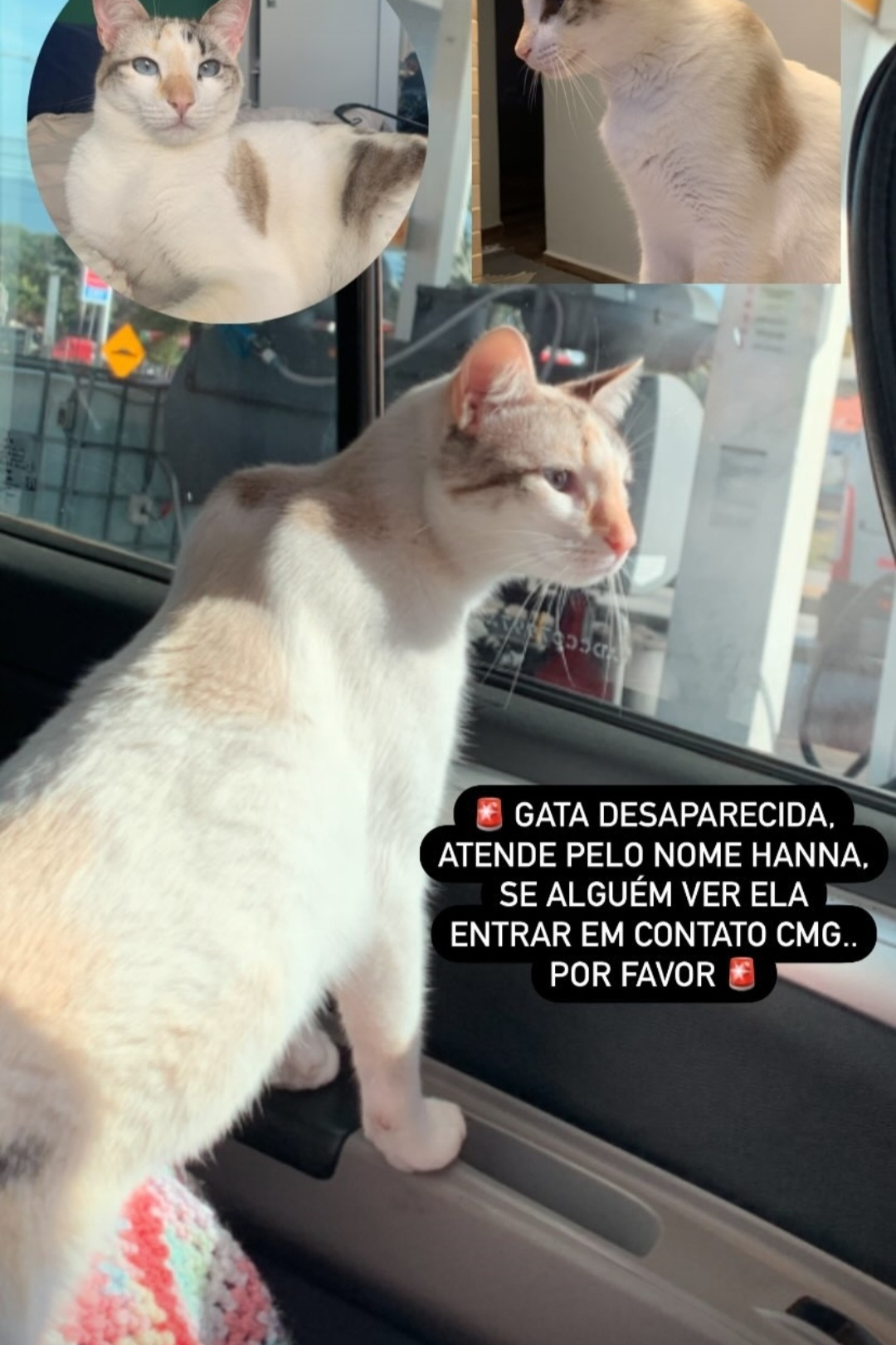Foto de Hanna
