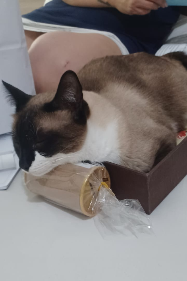 Foto de Theo