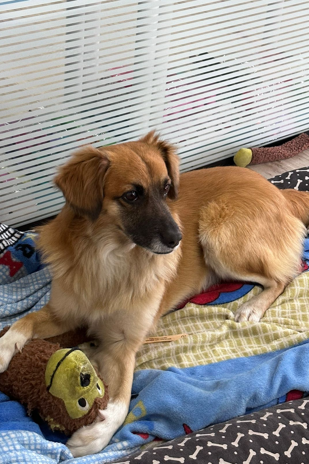 Foto de ZECA