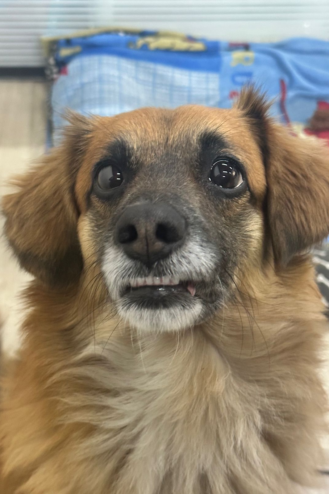 Foto de ZECA