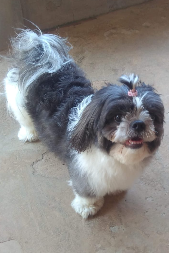 Foto de Luna