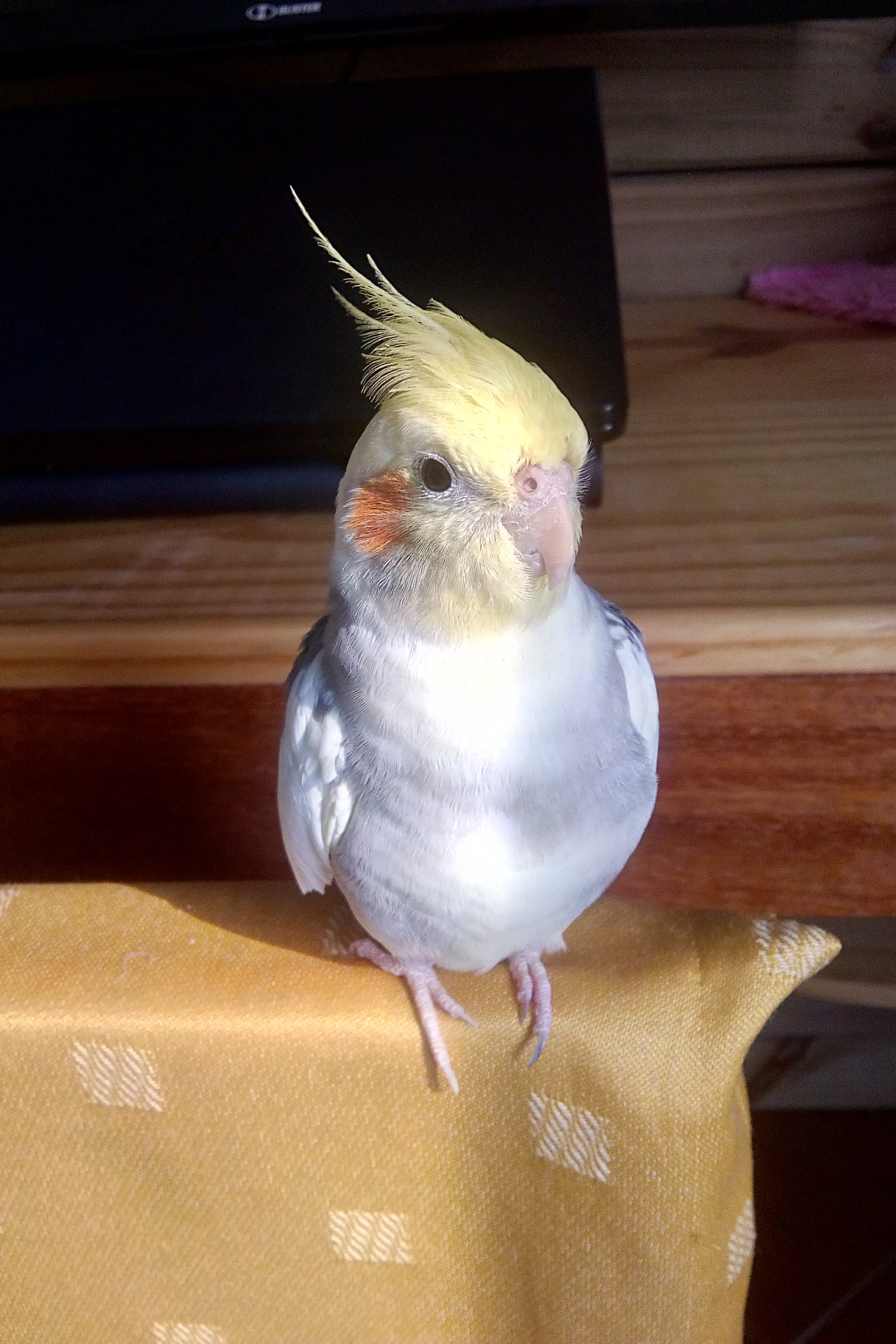 Foto de Baby