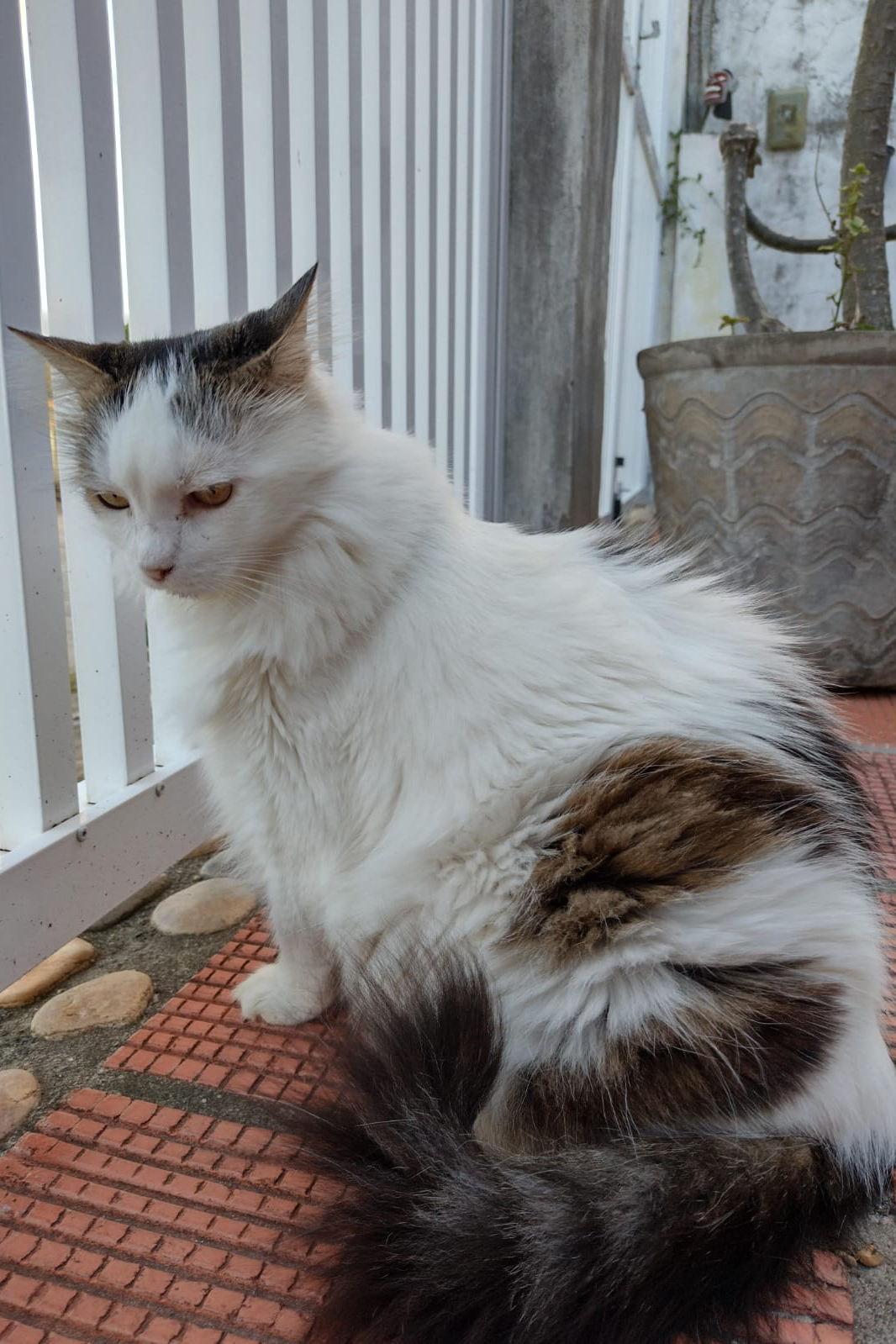 Foto de Nina