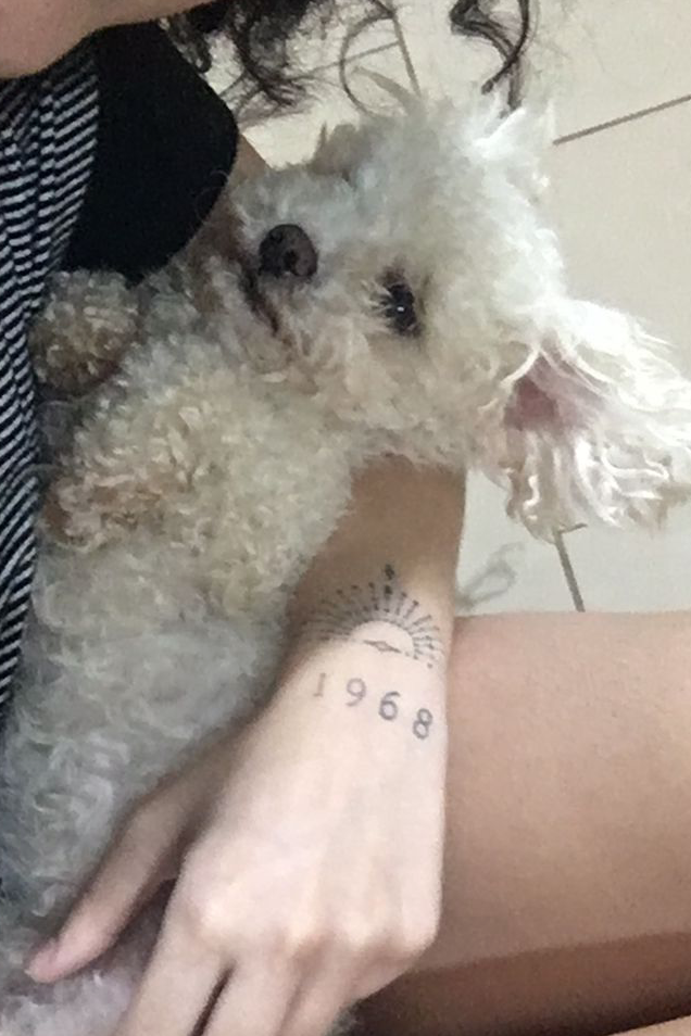 Foto de Dori