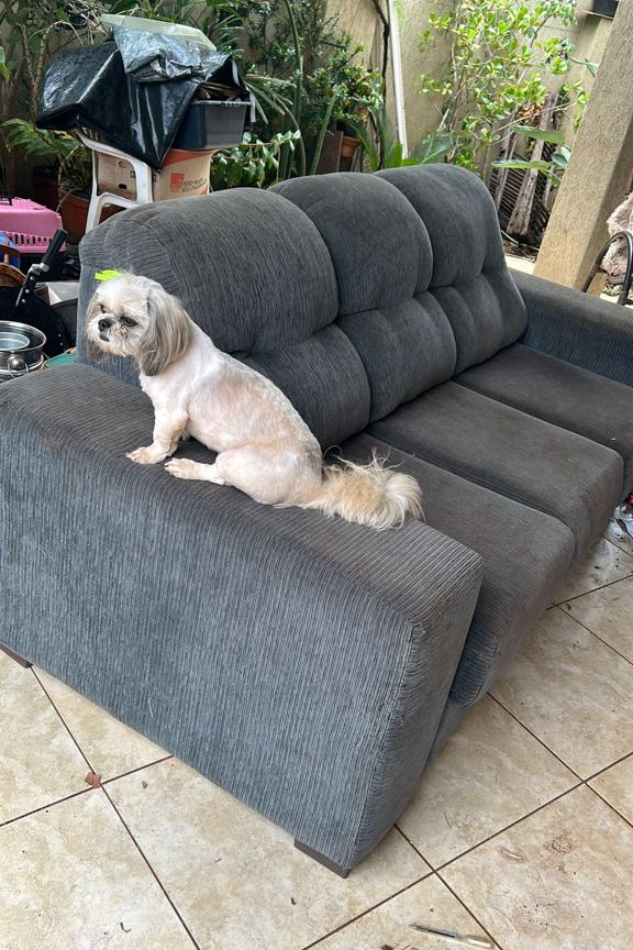 Foto de Mille